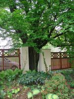 Piękne ogrody w Cieszynie nagrodzone po raz trzydziesty dziewiąty